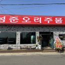 성준오리 이미지