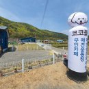 코코블리 애견운동장 | 보령 애견미용실,카페,운동장 &#34;코코블리&#34; 시공후기