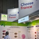 코리아뷰티코스메틱스 | 방콕의 열기만큼 뜨거웠던 2025 인-코스메틱스 아시아 현장 리포트!