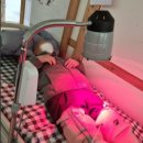 고향의 봄(공예) 이미지