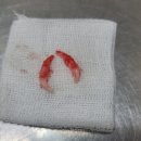 바우동물병원 이미지