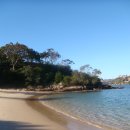 산의실천 이미지