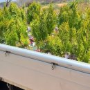 용고개농장 이미지