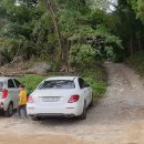 금호목장 이미지