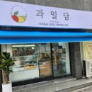 담모찌 이미지
