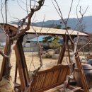 정원본가 이미지