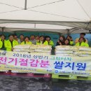 그린터치 이미지