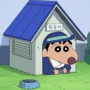 짱구가짱 이미지