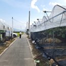 샤인하우스 가동 이미지