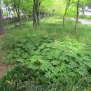 왕지공원 이미지