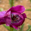 연지공원2 이미지