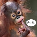 헤어온의원 | 강남 밴스모자이너 헤어라인모발이식 수술 당일 후기 (수술과정, 회복, 예약꿀팁)