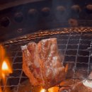 미친고기 이미지