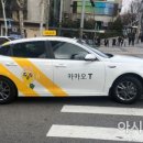 펫미업 이미지