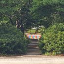 상림농장 | 청춘, 푸른 봄