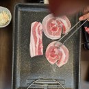 돼지한마리 이미지