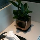 마시쩡 이미지