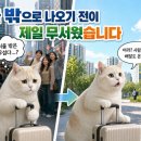 신도시우리약국 | [집사의 일상] 서울만 답일까? 경기도 외곽 신도시 신축아파트 살아보니🏙️🏠