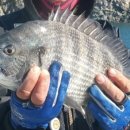 바다향기 블루 이미지