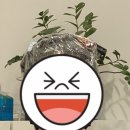 플라쥬 이미지