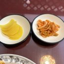 도깨비반점 이미지