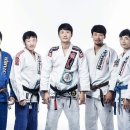 파라에스트라 이미지