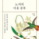 윌마