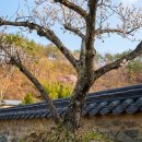 유림-1024 이미지