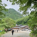 영동 천년고찰 반야사와 올뱅이국밥 점심식사 이미지