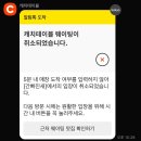 케이크하민(CAKE HAMIN) | [일상] 송송이의 생일파티라 쓰고 광란의밤이라 부른다