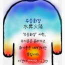자연힐링샵