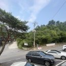 보타니칼 | [가평] 여름휴가로 수영장 있는 감성 숙소 가평 보타니칼펜션 방문한 후기