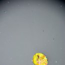 물속풍경 이미지