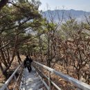 양사면사무소 이미지