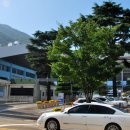 구덕운동장 이미지