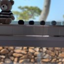 함께펜션 이미지