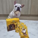 (주)노즈워크 | 꿀맛간식 주트립 허니탭 노즈워크 간식 후기