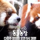 초우농장2 이미지