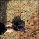 매곡천 자전거길 | 울산가볼만한곳 맨발걷기 울산숲 북구 호계구간 위치