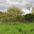 강진군마량보건지소 이미지