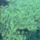 봉담 경희대 태권도장 이미지