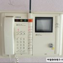 그린비디오 이미지