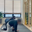 PT 더함 | 운정 체형교정 재활운동 3년차 더함리햅 파주운정점 후기