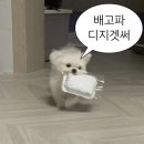 서초중앙로 58 이미지