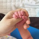 두뇌발달 촉감놀이 꼼지락(8~12개월 A) | 1~12개월 아기 성장 발달 A to Z｜초보 엄마를 위한 월령별 체크리스트