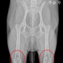 청송동물병원 이미지