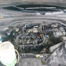 SH 모터스 이미지