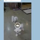 포포앤미루 강동점 이미지