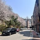 바우스쿨 이미지