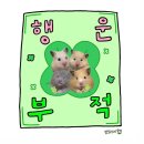 가고파세탁 | 2025년 1월 상반기